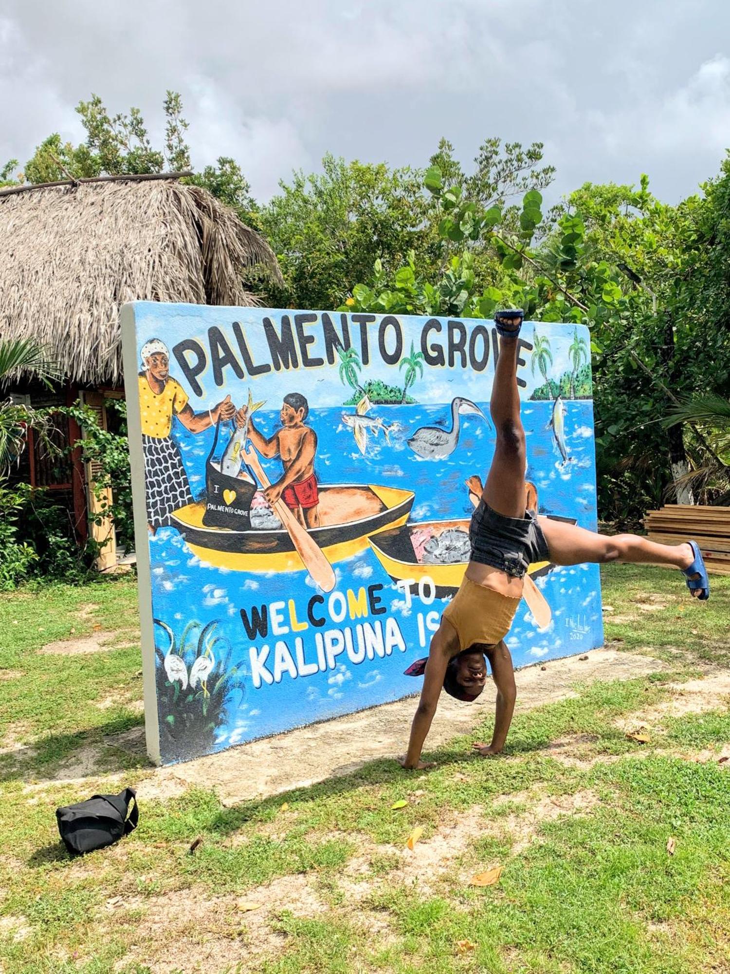 הופקינס Palmento Grove Garifuna Eco-Cultural & Healing Institute מראה חיצוני תמונה