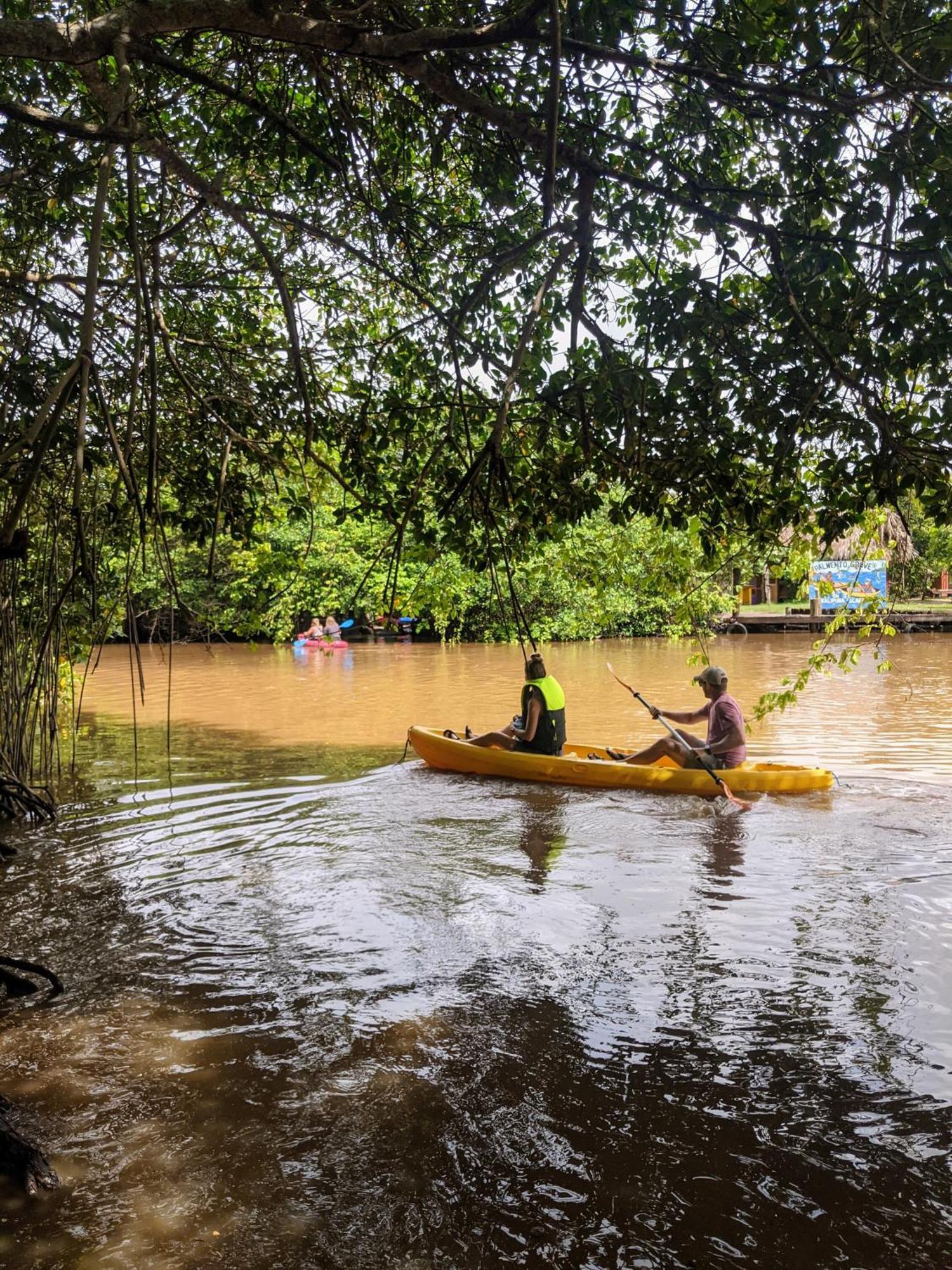 הופקינס Palmento Grove Garifuna Eco-Cultural & Healing Institute מראה חיצוני תמונה