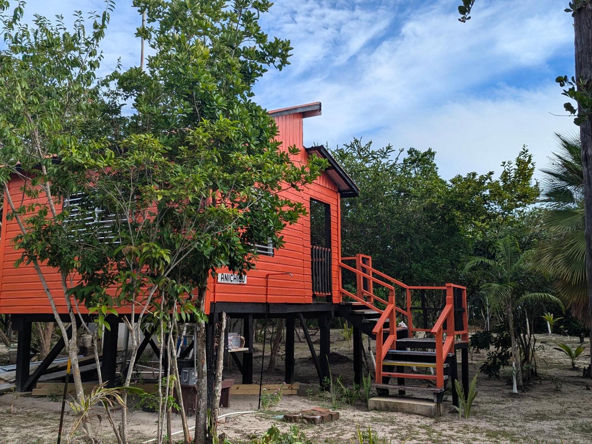 הופקינס Palmento Grove Garifuna Eco-Cultural & Healing Institute מראה חיצוני תמונה