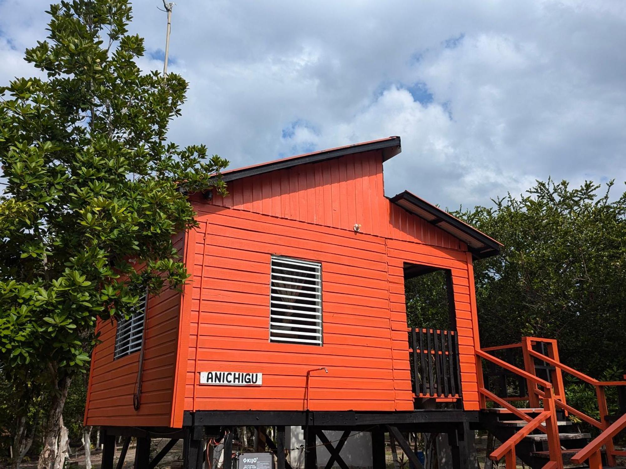 הופקינס Palmento Grove Garifuna Eco-Cultural & Healing Institute מראה חיצוני תמונה