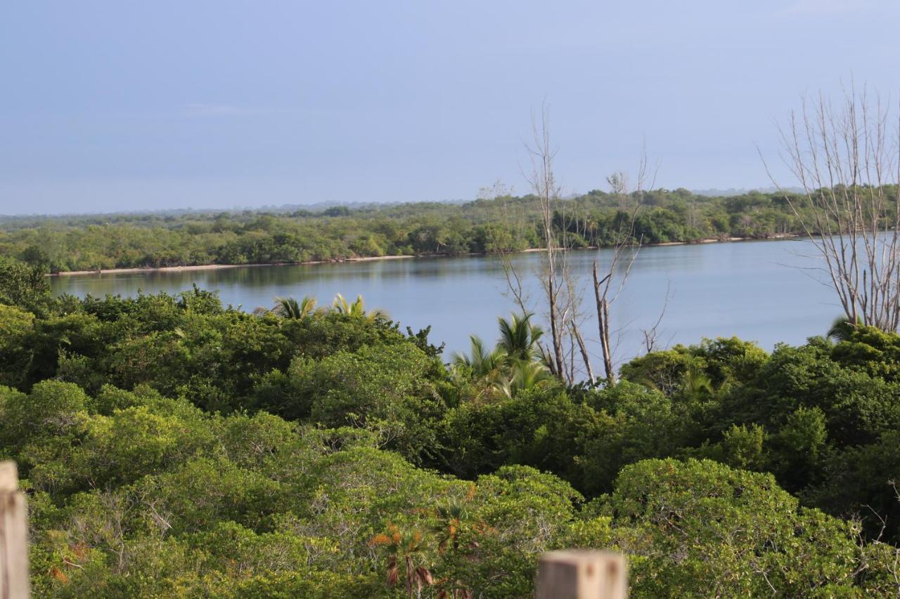 הופקינס Palmento Grove Garifuna Eco-Cultural & Healing Institute מראה חיצוני תמונה