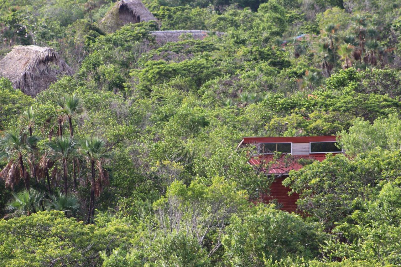 הופקינס Palmento Grove Garifuna Eco-Cultural & Healing Institute מראה חיצוני תמונה