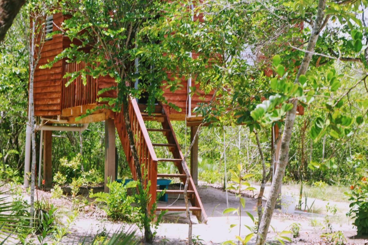 הופקינס Palmento Grove Garifuna Eco-Cultural & Healing Institute מראה חיצוני תמונה