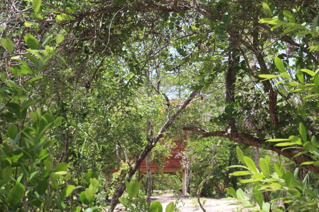 הופקינס Palmento Grove Garifuna Eco-Cultural & Healing Institute מראה חיצוני תמונה
